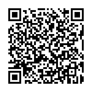 Scan to Fill on Mobile